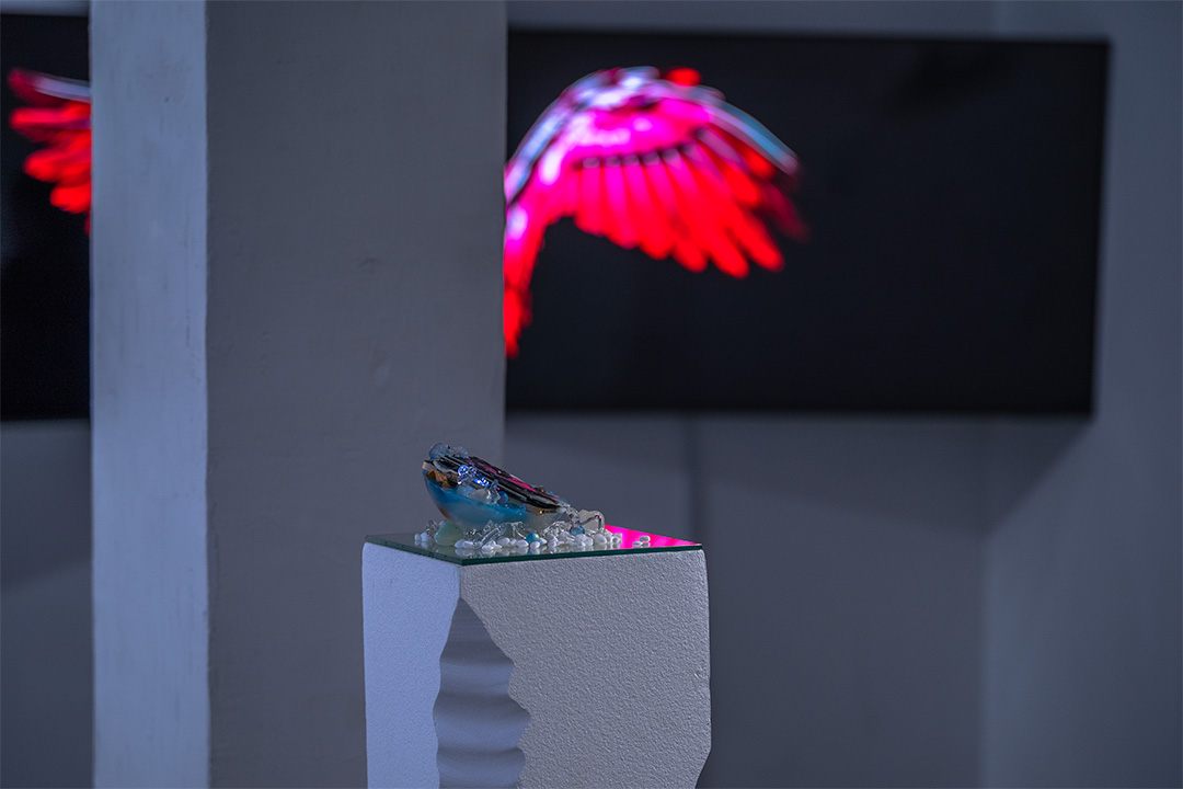 Exhibition 4