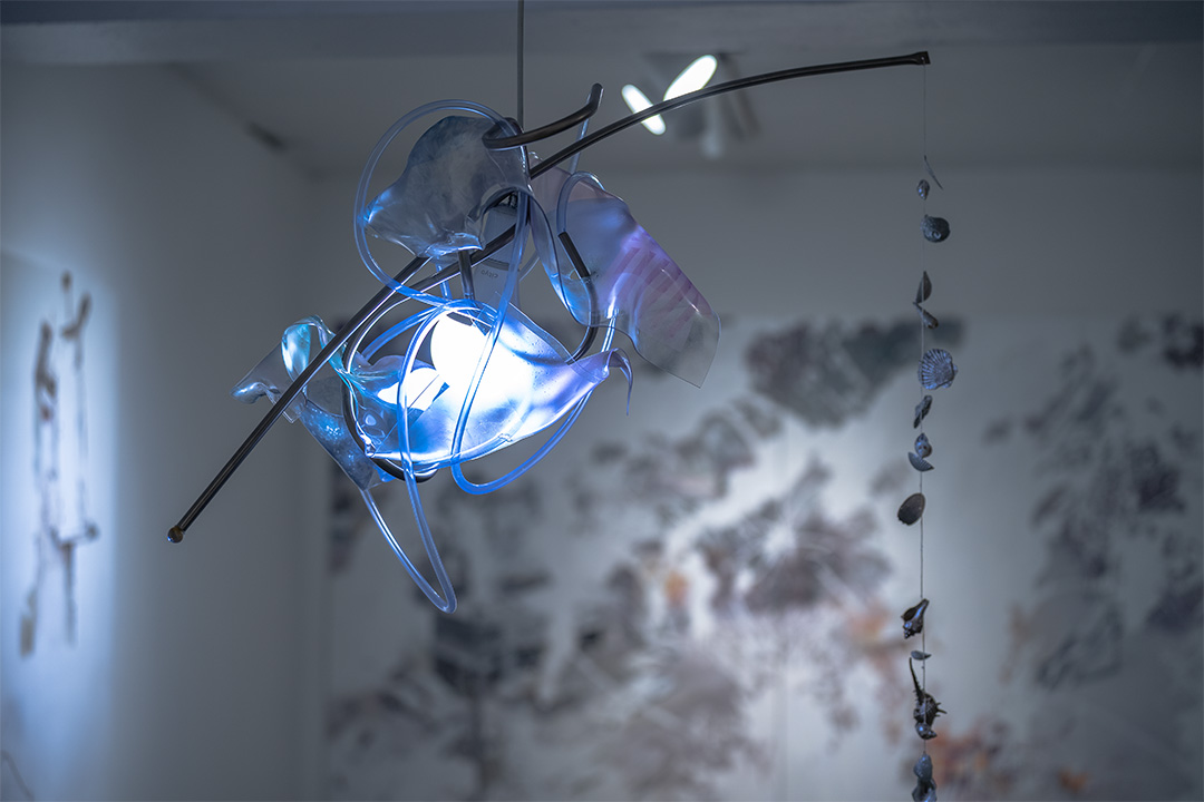 Exhibition 5